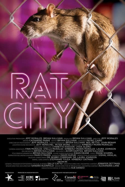 Rat City