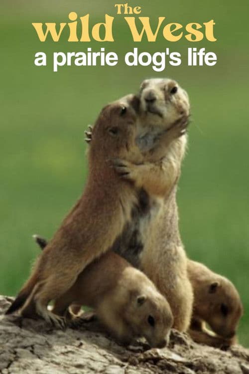 A Prairie Dog's Life