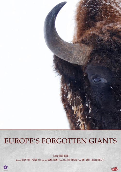 Europe's Forgotten Giants