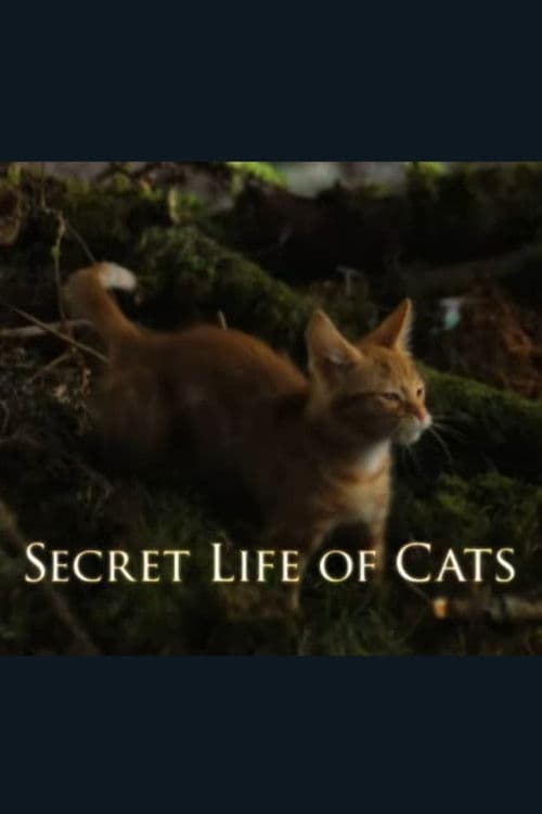 The Secret Life of Cats